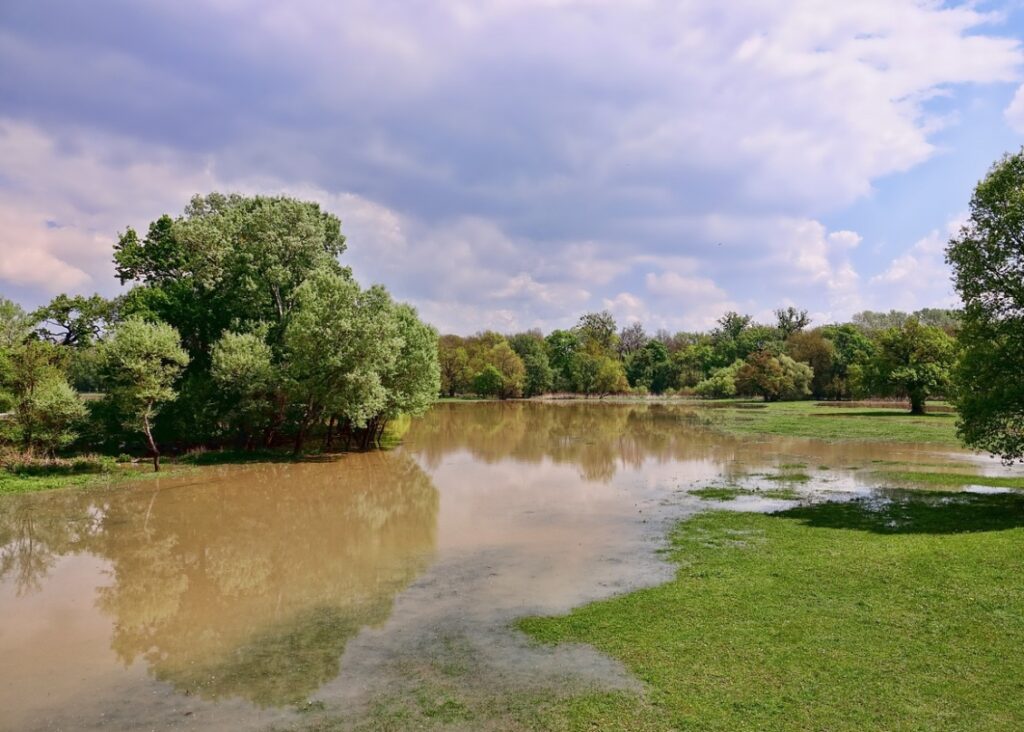 Alert powodziowy we Wrocławiu: Zalane drogi i pola na obrzeżach miasta