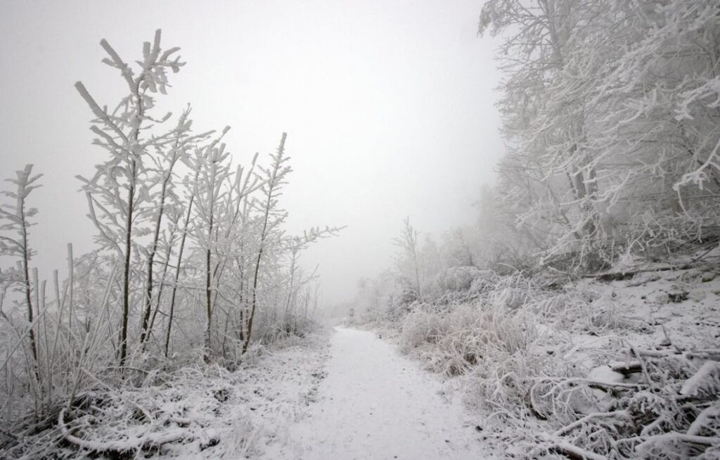 Prognozy Instytutu Meteorologii i Gospodarki Wodnej: Gołoledź na dolnośląskich drogach podczas świąt